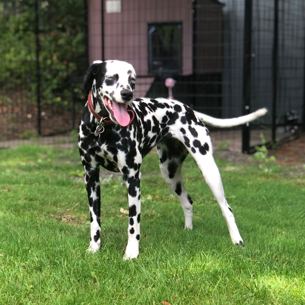 Meet your Posher, Kaia